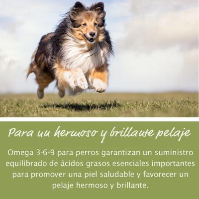 Omega 3-6-9 para perros