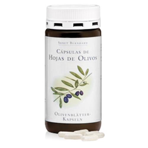 Olive Leave Capsules   90 Capsules