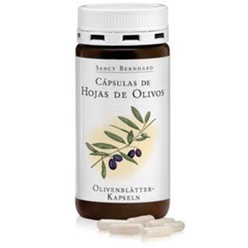 Olive Leave Capsules   90 Capsules