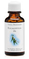 Eucalyptus Oil   10 ml