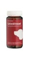 Jointfit for dogs   100 Capsules