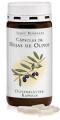 Olive Leave Capsules   90 Capsules