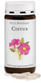 Cistus rockrose