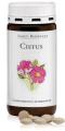 Cistus rockrose