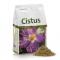 Cistus Rockrose Tea BIO