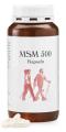 MSM 500mg Capsules