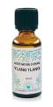 Ylang-Ylang oil
