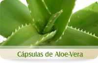 Aloe-Vera Cápsulas
