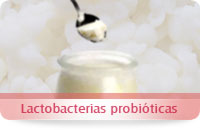 cápsulas probioticas
