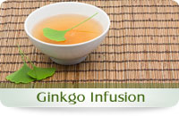 Ginkgo infusion