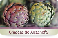 Alcachofa digestiva