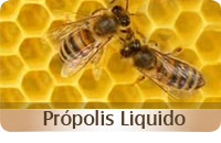 Propolis