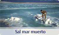 sal de baño del mar muerto