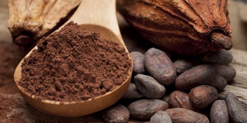 Cacao. Aplicaciones culinarias