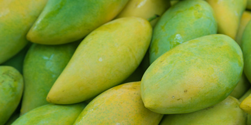 Mango africano, un arma efectiva para eliminar grasa