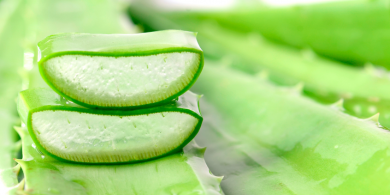Aloe vera, propiedades
