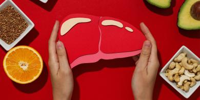 El hígado: el silencioso gran aliado de nuestra salud