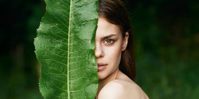 Las hierbas y plantas medicinales para mantener la piel sana