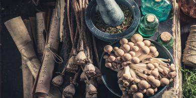 La micoterapia: el tratamiento con hongos medicinales