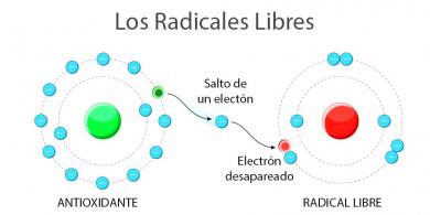 La realidad de los radicales libres