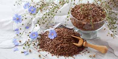 Linaza. Una semilla con mucho carácter