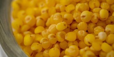 Mijo. Alimento también para el cabello