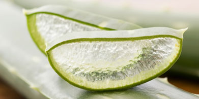 Áloe -Vera regenerador natural de la piel, indispensable en verano!