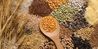 Los antinutrientes. Hay que tenerlos en cuenta.