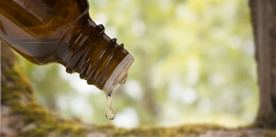 El aceite de árbol de té, un pequeño todo terreno