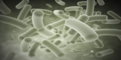 Antibióticos Naturales: el freno para el desarrollo de la resistencia bacteriana!