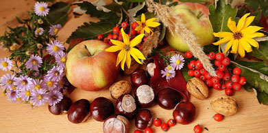 Del campo al plato en otoño