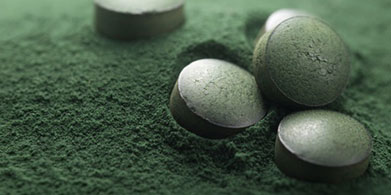 Espirulina, la no alga
