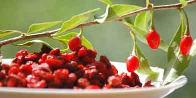 Goji, ¿Del boom al olvido?