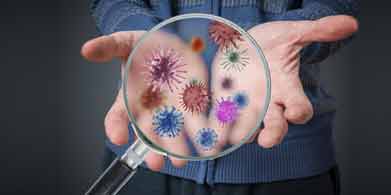 Lo que las manos esconden