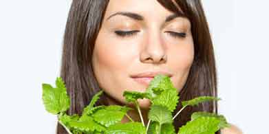 La menta: un delicioso y refrescante remedio