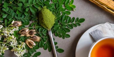 Composición y beneficios de tomar moringa