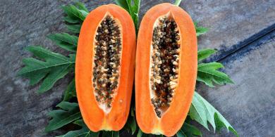 La papaya y su valiosa papaína