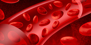 Conservar (mantener) los vasos sanguíneos en buenas condiciones