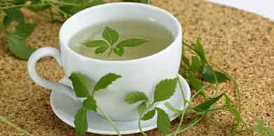 El yiaogulan : Planta del equilibrio y la 