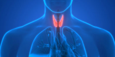 Yodo. Oligoelemento clave