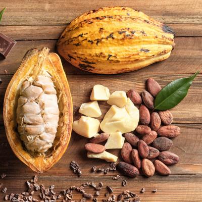Semillas de Cacao BIO