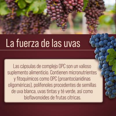 Cápsulas de OPC