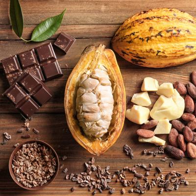 Cacao-Nibs-Raw Bio