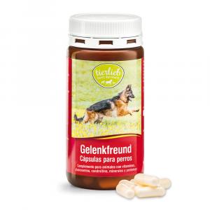 Gelenkfreund para perros