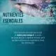 Omega-3 Cápsulas 500 mg Sanct Bernhard, bote de 400 cápsulas