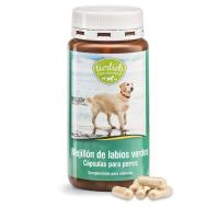 Mejillón de Labios Verdes para Perros