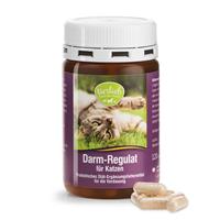 Regulador intestinal para Gatos