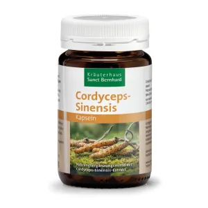 Cordyceps-Sinensis Cápsulas
