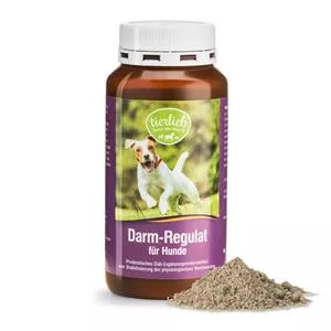 Intestinal regulator for Dogs
