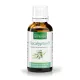Aceite esencial de Eucalipto
